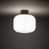 Okrągła lampa sufitowa z ryflowanym szklanym kloszem 1xE27 AURORA Nowodvorski 11971