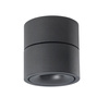 Czarna oprawa natynkowa z ruchomą głowicą COSTA 12W CCT SWITCH BK AZZARDO AZ6031