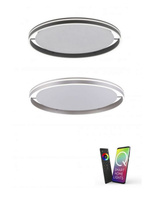 Lampa sufitowa Q-VITO LED 79cm Paul Neuhaus 8418-55 sterowana pilotem funkcja smart