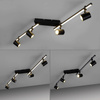 Lampa sufitowa BARIK LED Paul Neuhaus 6525-18