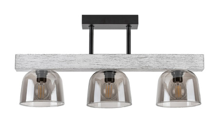 Lampa sufitowa CARDAMOM Rabalux 3119