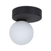 Lampa sufitowa BIANCA BLACK TK Lighting 5681