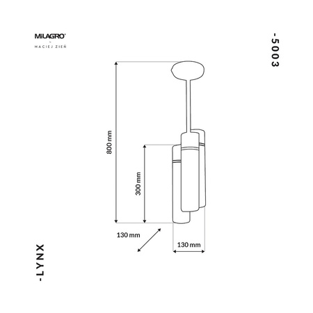 Lampa Wisząca LYNX 6xE14 MZ5003