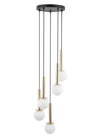 DAISY 5 złoty/biały Sigma 40771