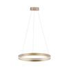 Lampa wisząca ring 59cm w kolorze mosiądzu sterowana pilotem lub smartfonem Q-VITO Paul Neuhaus 8411-60