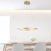 Lampa wisząca okrąg o średnicy 60cm LED 3000K TITUS Mosiadz Paul Neuhaus 2382-60 z wbudowanym ściemniaczem