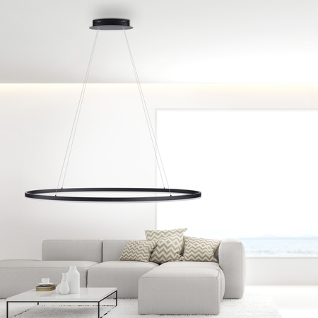 Lampa wisząca antracytowy okrąg 118cm x 56cm TITUS Paul Neuhaus 2393-13 z wbudowanym ściemniaczem