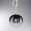 Lampa wisząca pojedyńcza szklany klosz i świecący przewód LUMA Paul Neuhaus  2410-18