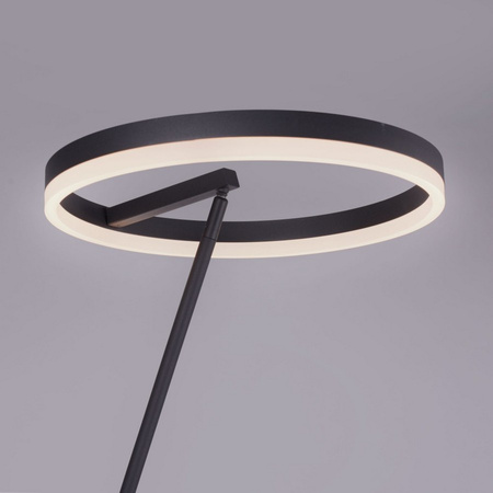 Lampa podłogowa TITUS LED Paul Neuhaus 381-13 ze ściemniaczem