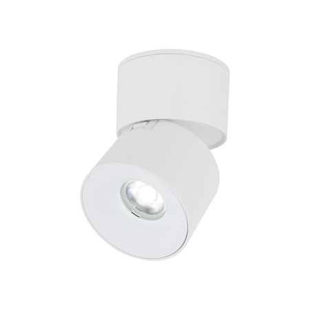 Biała oprawa natynkowa ruchoma tuba wybór barwy światła SPARK WHITE CCT 10W Tk Lighting 18168