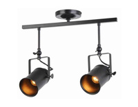 Lampa sufitowa podwójna GEMMA Reality 638002-02