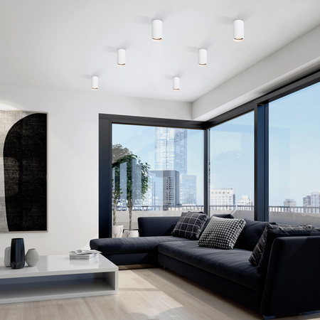 TUNE WHITE S TK Lighting 10023