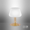 LAMPA STOŁOWA MATOWY MOSIĄDZ 1xG9 TILL Paul Neuhaus 4078-60 na dotyk