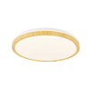 Lampa sufitowa GANDAVA LED Candellux 14-75253