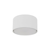 Oprawa sufitowa o średnicy 8cm TOP WHITE 1xGX53 Tk Lighting 11061