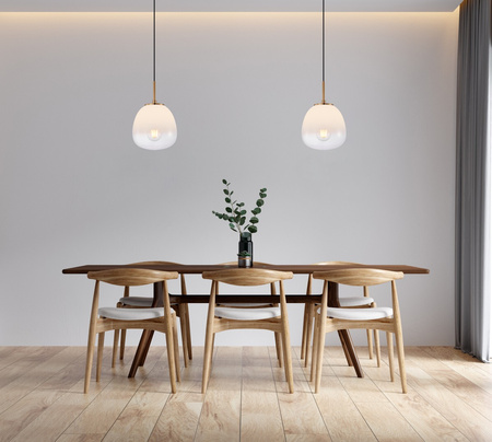 Lampa wisząca pojedyńcza szklany klosz biało-przeźroczysty 1xE27 Antita Italux PND-3650-1S-BRO-CW