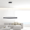Lampa wisząca antracytowy okrąg 80cm TITUS Paul Neuhaus 2392-13 z wbudowanym ściemniaczem