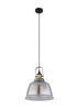 Lampa wisząca DOROTHEA 30cm Globo 15558H1