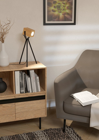 Lampa stołowa AYLES Eglo 43749