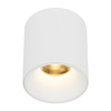 Biała oprawa natynkowa tuba 7,3cm wybór barwy światła BLAZE WHITE CCT 12W Tk Lighting 18157