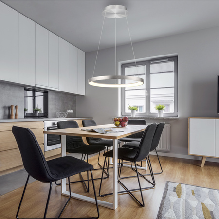 Lampa wisząca okrąg w kolorze aluminium 57cm LED 3000K HOOP Paul Neuhaus 2851-95 