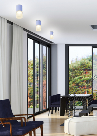 LAMPA SUFITOWA TUBA 1X50W GU10 MROŻONY+SZARY ŚR. 6,4 CM Candellux 2273686