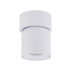 Oprawa sufitowa natynkowa ruchoma TWIST WHITE 1xGU10 Tk Lighting 10576