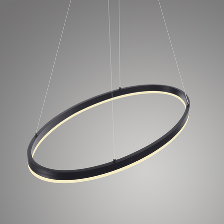 Lampa wisząca antracytowy okrąg 80cm TITUS Paul Neuhaus 2392-13 z wbudowanym ściemniaczem