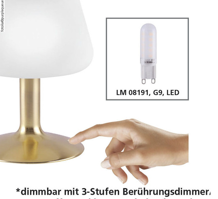LAMPA STOŁOWA MATOWY MOSIĄDZ 1xG9 TILL Paul Neuhaus 4078-60 na dotyk