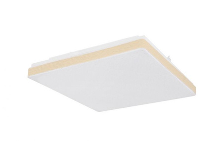 Lampa sufitowa plafon RAINA LED Globo 48296W