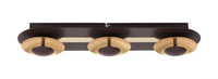 Lampa sufitowa BRIGITTE LED Rabalux 2553