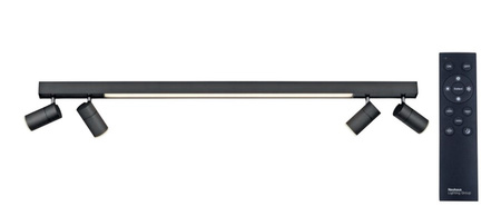 Lampa sufitowa PURE-LINES LED Paul Neuhaus 6121-13 sterowana pilotem