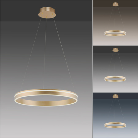 Lampa wisząca ring 59cm w kolorze mosiądzu sterowana pilotem lub smartfonem Q-VITO Paul Neuhaus 8411-60