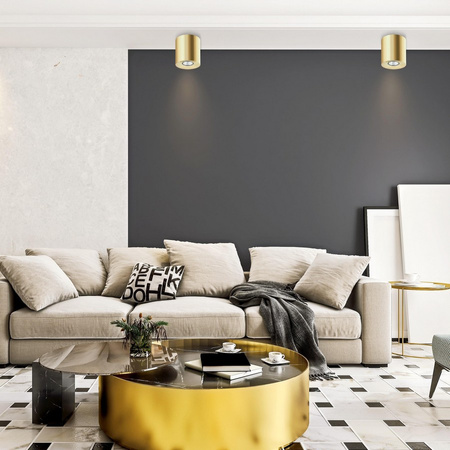 Lampa sufitowa oprawa spot ORION TK Lighting 3198