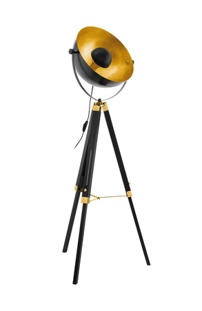 Lampa podłogowa COVALEDA Eglo 49618