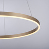 Ring wiszący w kolorze matowego mosiądzu o średnicy 58cm RITUS LED 3000K z funkcją SwitchMo Just Light 15394-60