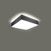 Lampa sufitowa plafon HORUS 25 szary Sollux SL.0143