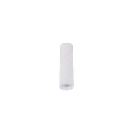 Oprawa sufitowa biała tuba z ruchomą głowicą ELARIS WHITE S 1xGU10 MINI MR11 Tk Lighting 11252