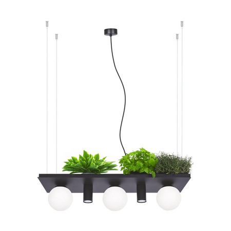 Lampa wisząca z półką na kwiaty PLANT Zuma Line 5555