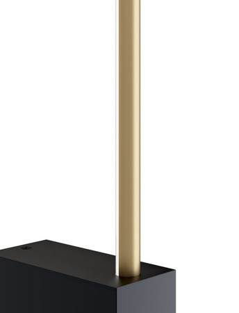 Kinkiet PARS LED Maytoni C071WL-L12GB3K