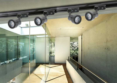 Oprawa JANE TRACK do systemu trójfazowego TRACK 3LINE Azzardo AZ2460 AZ2457 kolor do wyboru