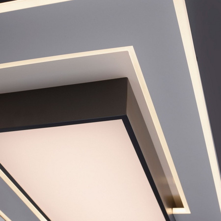 Lampa sufitowa Q-ALTA LED Paul Neuhaus 6125-18 sterowana pilotem