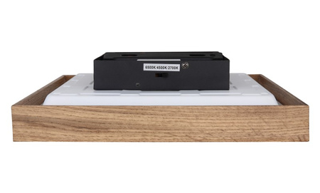 Lampa sufitowa CINDERELLA 30cm LED Globo 41595D1