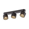 Czarna podłużna lampa sufitowa trzy tuby LED 2700K PURE CUP Paul Neuhaus 6227-18