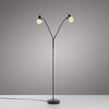 Lampa podłogowa czarna dwa giętkie ramiona ze szklanymi kloszami LOKI 2xE14 Just Light 12158-18