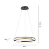 Lampa wisząca matowy okrąg 60cm sterowany pilotem i aplikacją Q-BELUGA Paul Neuhaus 2051-60
