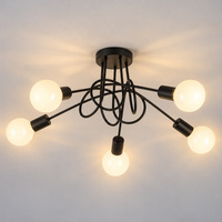 Lampa sufitowa TURBINO 5xE27 Milagro ML2475