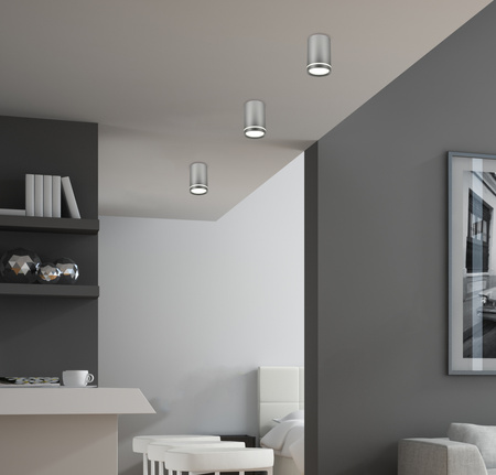 TUBA LAMPA SUFITOWA 1X15W GU10 6,8/10 SREBRNY MATOWY Candellux 2277158