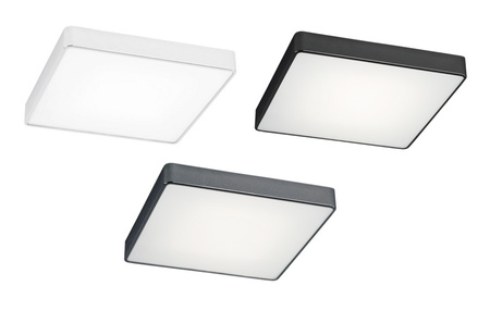 Lampa sufitowa plafon 25cm ONTARIO Argon 652 653 654 kolor do wyboru