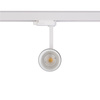 CTLS MILO LED 25W 3-obwodowy CTLS Nowodvorski 8762